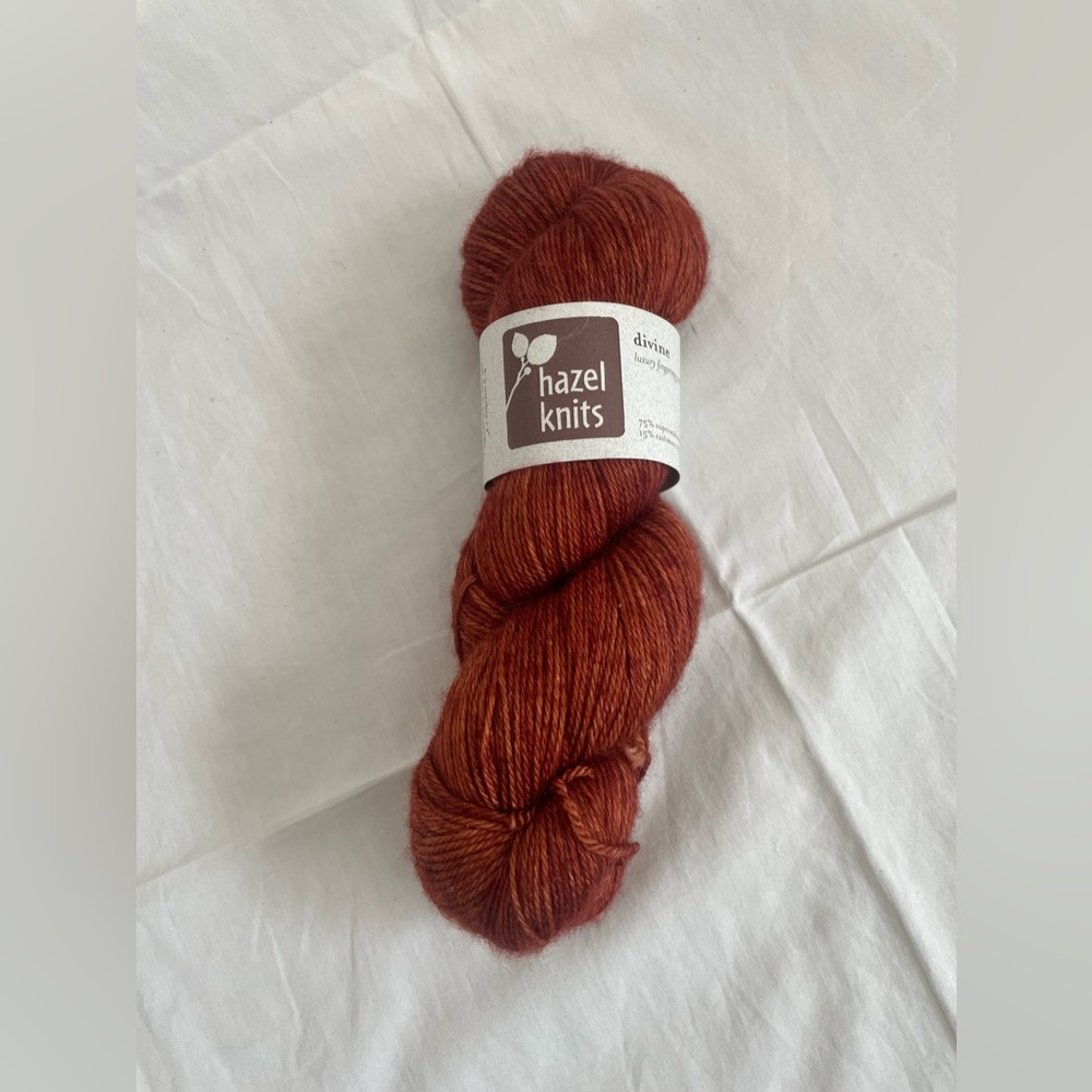 Skein NWT Fingering Weight Yarn